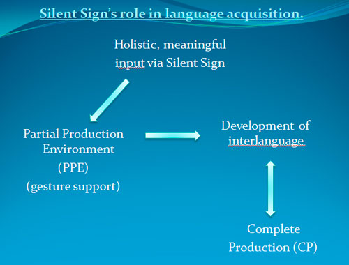 input and output during silent sign